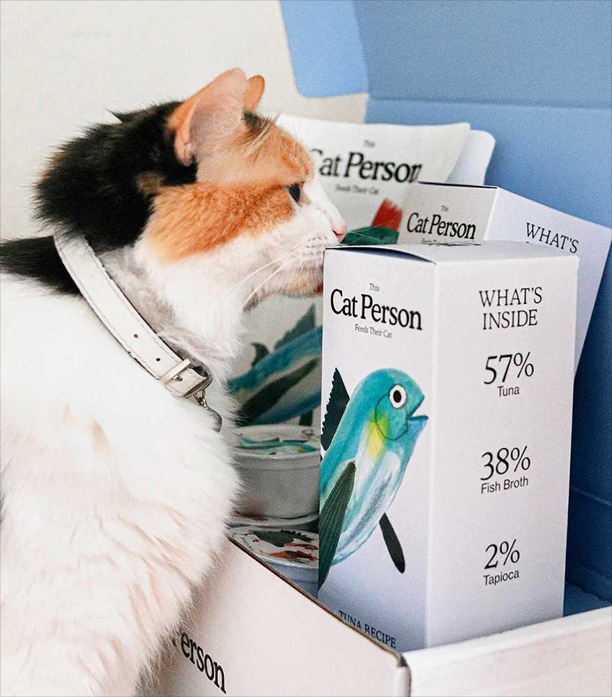 Cat smelling Cat Person food in delivery box